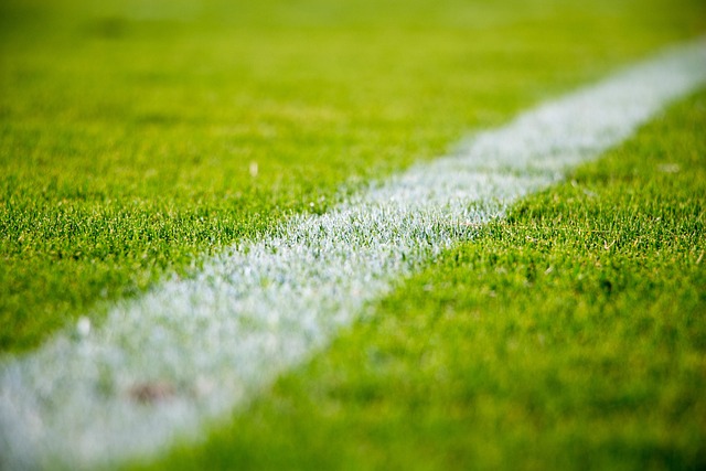 Hur tänker norge om vm? Player.fm samlar landets poddprofiler